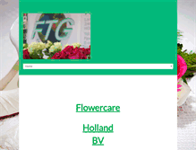 Tablet Screenshot of ftg.nl